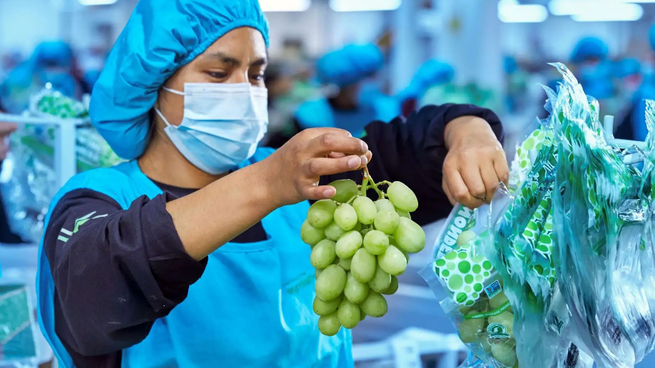 Agroindustria peruana supera los US$ 1.034 millones en ventas a la Unión Europea